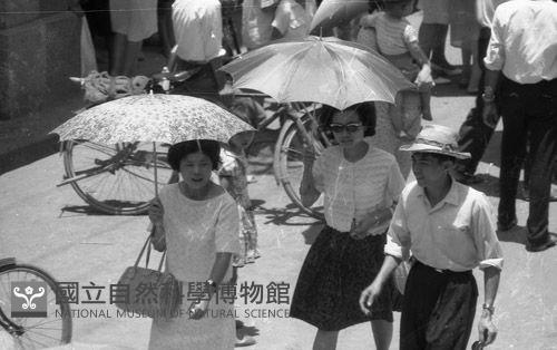 1950至2006年臺灣常民生活藏品圖，第1張