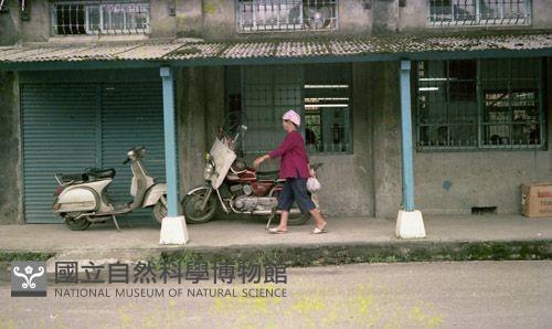 1950至2006年臺灣常民生活藏品圖，第1張
