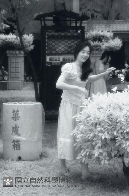 1950至2006年臺灣常民生活藏品圖，第1張