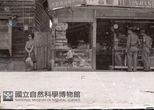 1950至2006年臺灣常民生活藏品圖，第1張