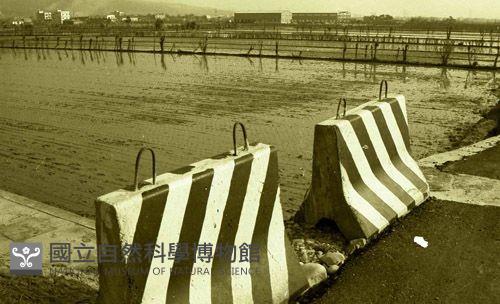 1950至2006年臺灣常民生活藏品圖，第1張