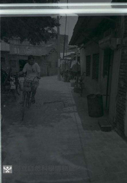 1950至2006年臺灣常民生活藏品圖，第1張