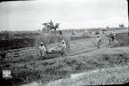 1950至2006年臺灣常民生活藏品圖，第1張