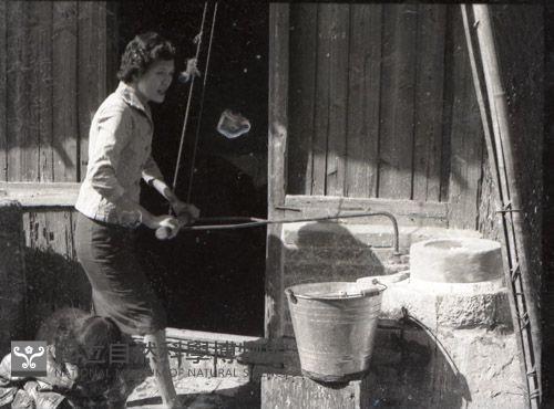 1950至2006年臺灣常民生活藏品圖，第1張