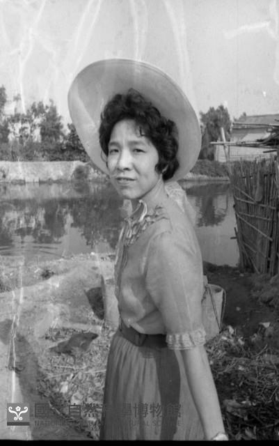 1950至2006年臺灣常民生活藏品圖，第1張