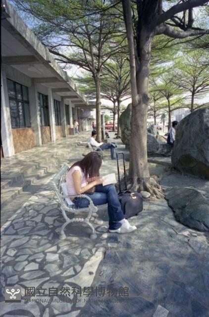 1950至2006年臺灣常民生活藏品圖，第1張