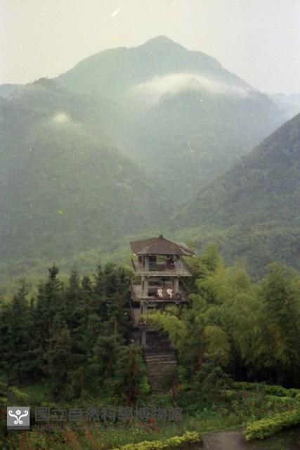 1950至2006年臺灣常民生活藏品圖，第1張