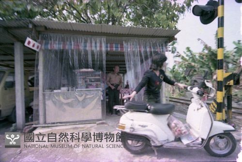 1950至2006年臺灣常民生活藏品圖，第1張