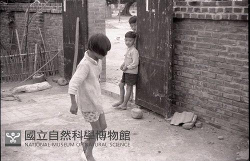 1950至2006年臺灣常民生活藏品圖，第1張