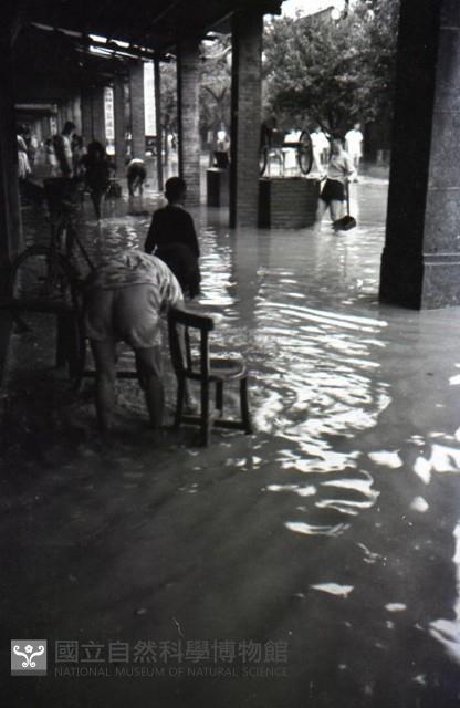 1950至2006年臺灣常民生活藏品圖，第1張