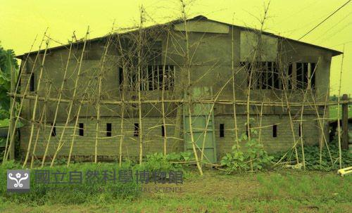 1950至2006年臺灣常民生活藏品圖，第1張