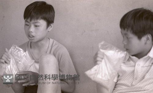 1950至2006年臺灣常民生活藏品圖，第1張