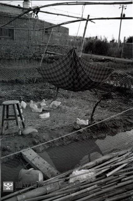 1950至2006年臺灣常民生活藏品圖，第1張