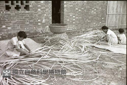 1950至2006年臺灣常民生活藏品圖，第1張