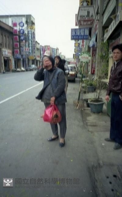 1950至2006年臺灣常民生活藏品圖，第1張