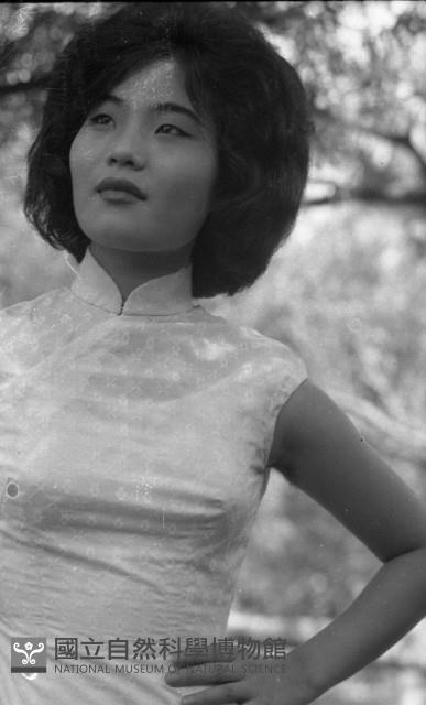 1950至2006年臺灣常民生活藏品圖，第1張