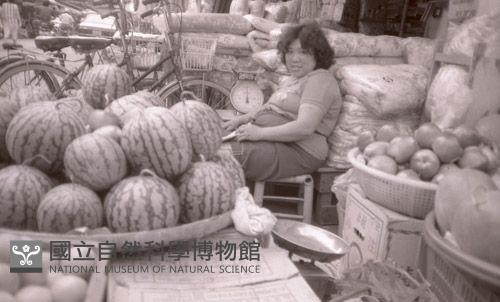1950至2006年臺灣常民生活藏品圖，第1張