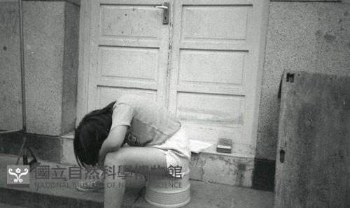 1950至2006年臺灣常民生活藏品圖，第1張