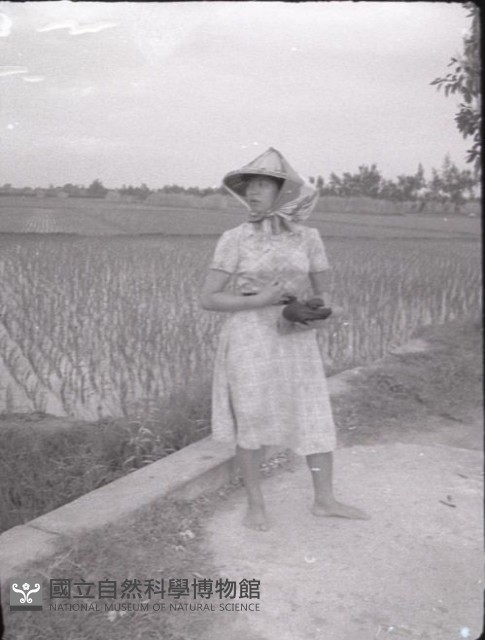 1950至2006年臺灣常民生活藏品圖，第1張