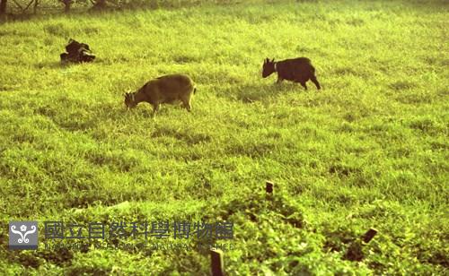 Accession Number:MP2007012216 Collection Image