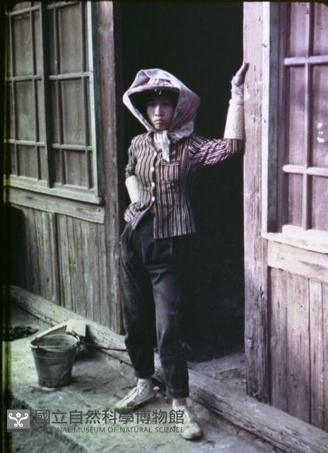 1950至2006年臺灣常民生活藏品圖，第1張