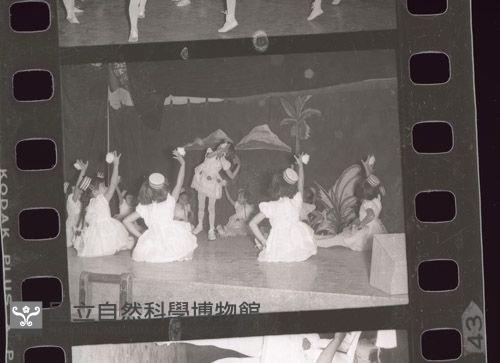 1950至2006年臺灣常民生活藏品圖，第1張