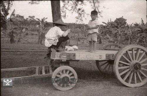 1950至2006年臺灣常民生活藏品圖，第1張