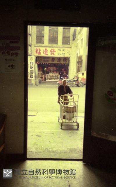 1950至2006年臺灣常民生活藏品圖，第1張