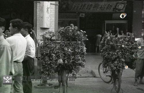 1950至2006年臺灣常民生活藏品圖，第1張