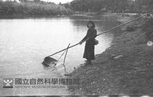 1950至2006年臺灣常民生活藏品圖，第1張