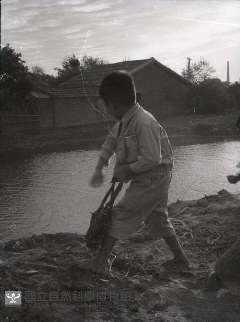 1950至2006年台灣常民生活(No:141 /133-3 ? 黑)藏品圖，第1張