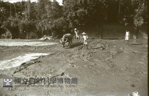 1950至2006年臺灣常民生活藏品圖，第1張