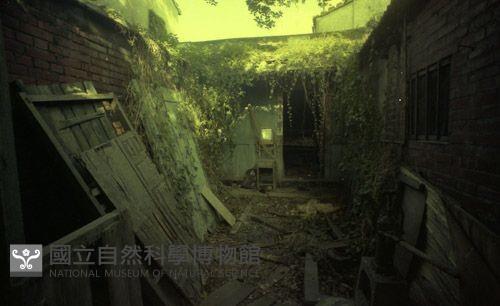 1950至2006年臺灣常民生活藏品圖，第1張