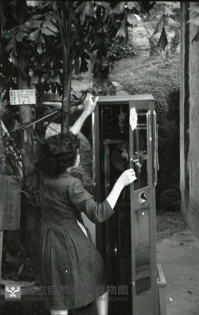 1950至2006年臺灣常民生活藏品圖，第1張