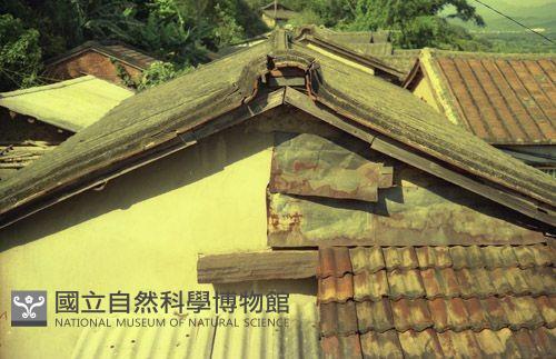1950至2006年臺灣常民生活藏品圖，第1張