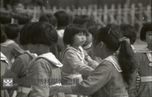 1950至2006年臺灣常民生活藏品圖，第1張