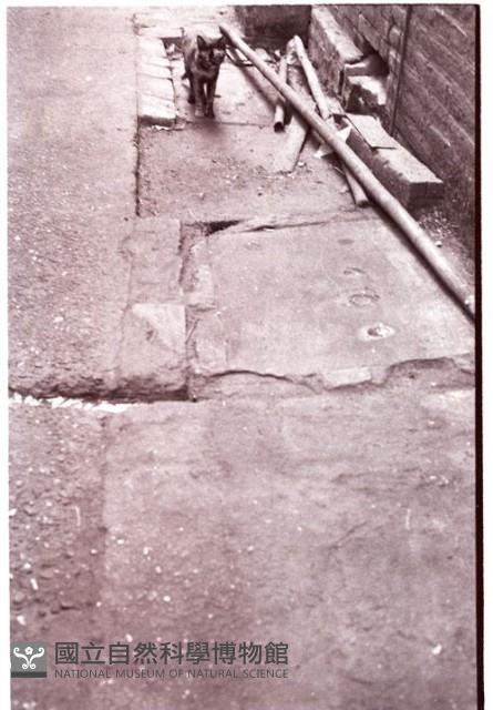1950至2006年臺灣常民生活藏品圖，第1張