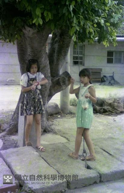 1950至2006年臺灣常民生活藏品圖，第1張