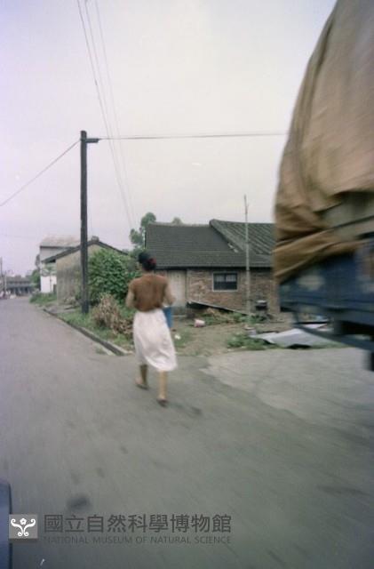 1950至2006年臺灣常民生活藏品圖，第1張