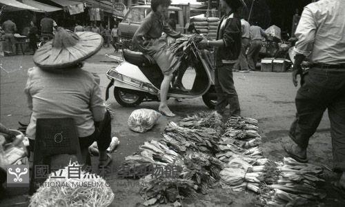 1950至2006年臺灣常民生活藏品圖，第1張