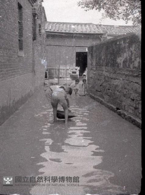 1950至2006年臺灣常民生活藏品圖，第1張