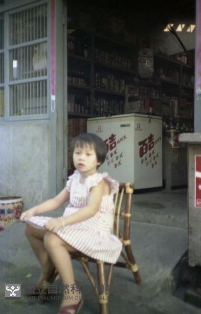 1950至2006年臺灣常民生活藏品圖，第1張