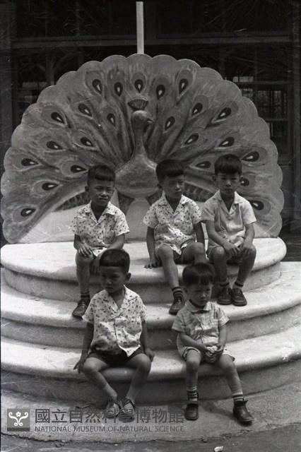 1950至2006年臺灣常民生活藏品圖，第1張