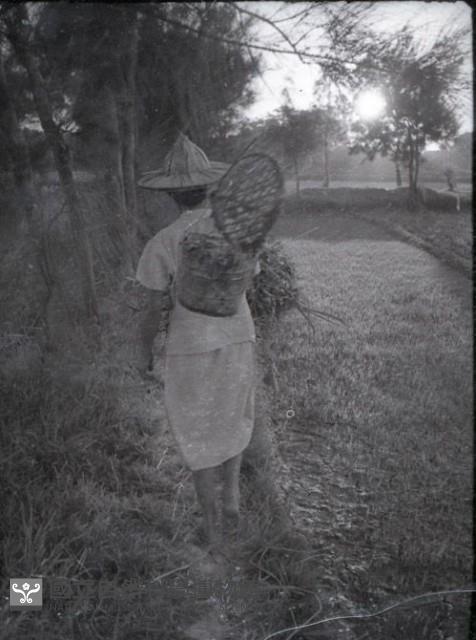 1950至2006年臺灣常民生活藏品圖，第1張