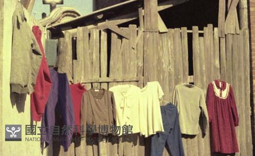 1950至2006年臺灣常民生活藏品圖，第1張