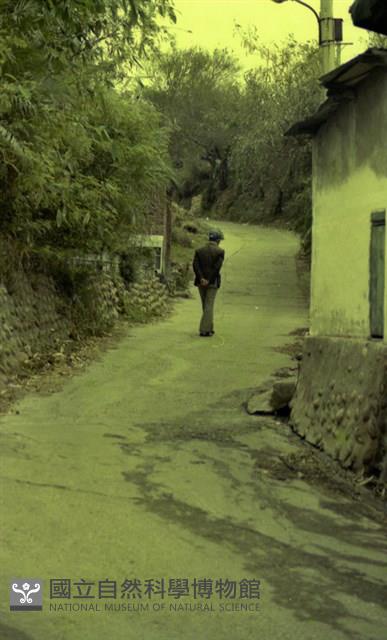 1950至2006年臺灣常民生活藏品圖，第1張