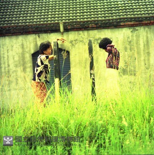 1950至2006年臺灣常民生活藏品圖，第1張