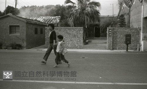 1950至2006年臺灣常民生活藏品圖，第1張
