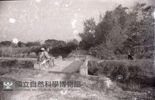 1950至2006年臺灣常民生活藏品圖，第1張