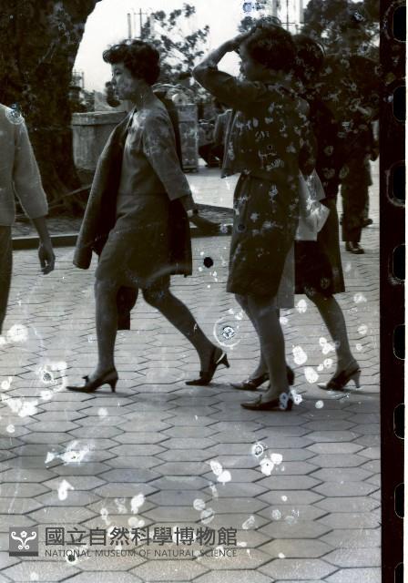 1950至2006年臺灣常民生活藏品圖，第1張